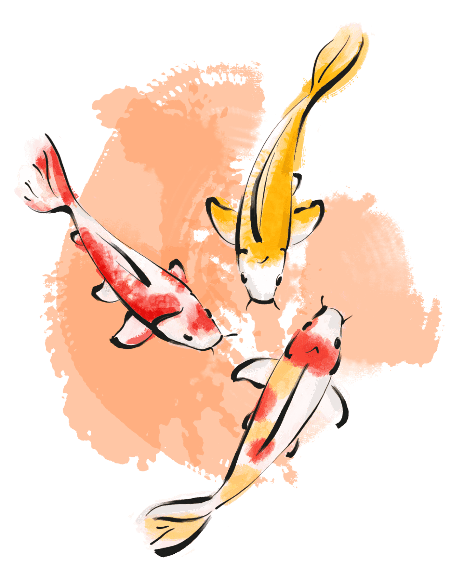 /images/components/card/koipond.png